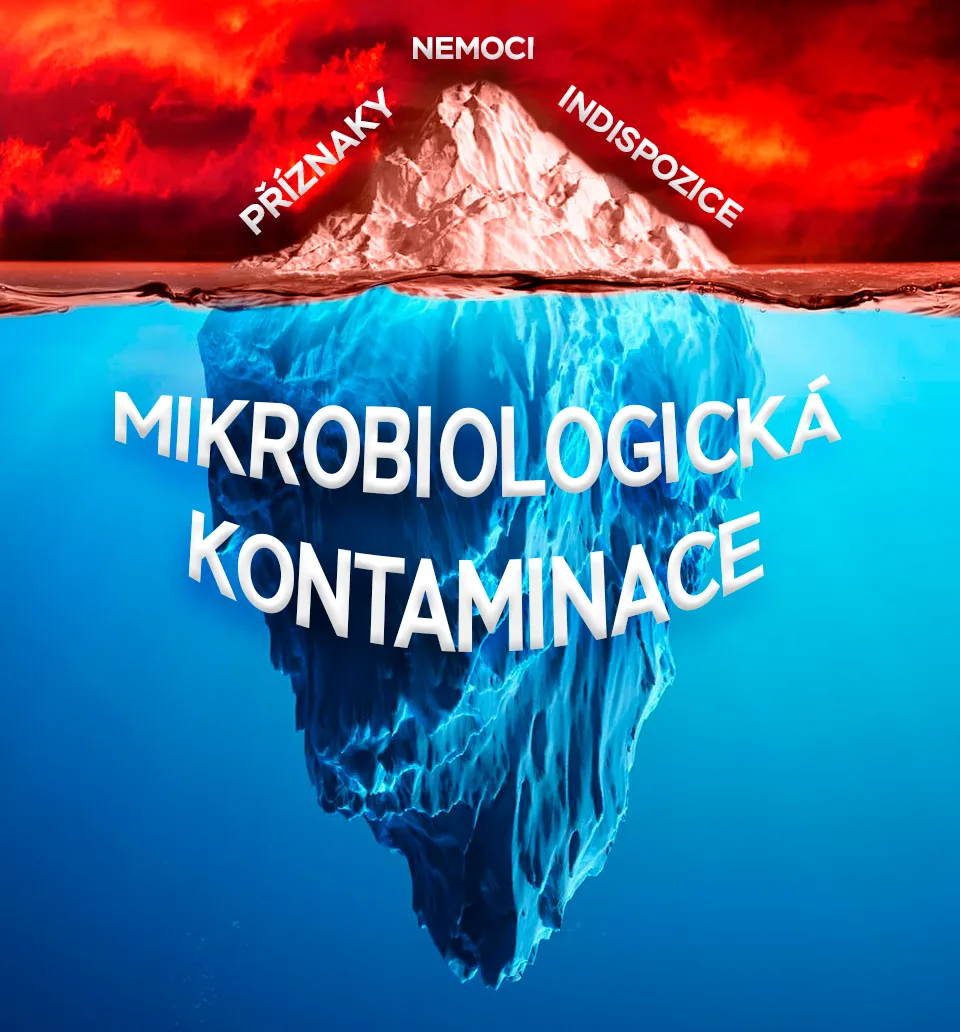 anticandida